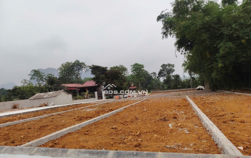 Cần bán đất nền Khu phố 1, Ngọc Lặc, Thanh Hóa, sẵn sổ